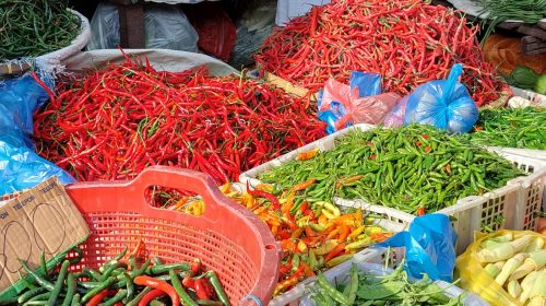 Harga Cabai di Medan Kembali Normal Pascaiduladha, Daging Ayam dan Sapi Stabil