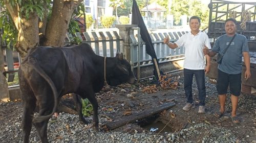BNCT dan Bea Cukai Belawan Kolaborasi Salurkan Hewan Kurban untuk Masyarakat