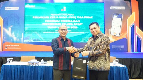 Bank Sumut Buka Akses Dana PSR Rp44,5 Miliar untuk Pekebun Sawit Sumatera Utara