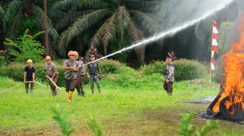 Antisipasi Karhutla, PTPN IV PalmCo Perkuat Deteksi Dini dan Patroli di Sumatera-Kalimantan