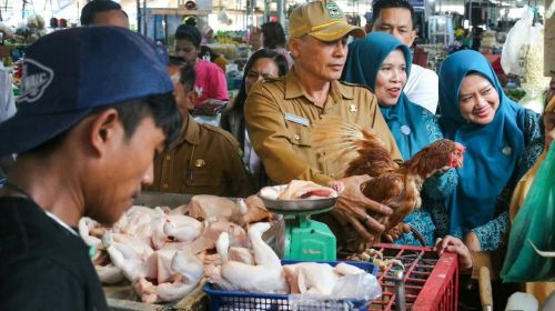 Jaga Stabilisasi Pasokan dan Harga Pangan Pokok Barang Penting, Wali Kota Wesly Silalahi Lepas Tim Sidak
