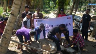 Wujud Kepedulian Pasca-Banjir, KAI Divre I Sumut Salurkan Hewan Kurban ke Aceh Tamiang