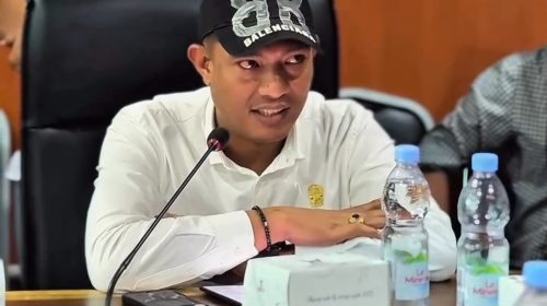 Kasus Ibu Hamil Ditendang Viral, Eko Afrianta Sitepu Apresiasi Kinerja Polisi
