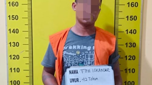 Pengedar Ganja Galang Ditangkap Polisi