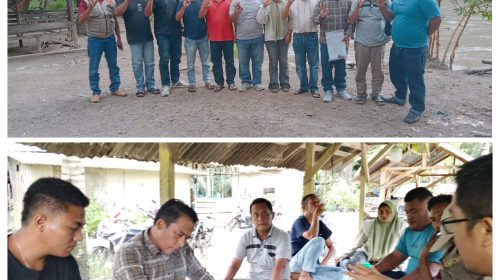 Korwasis Madina Siapkan 10 Hektar Lahan Budidaya Serai, Perkuat Ekonomi Sektor Riil