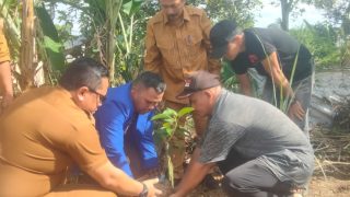 Gerakan 2.000 Pohon GAMKI Dimulai dari Siantar Timur
