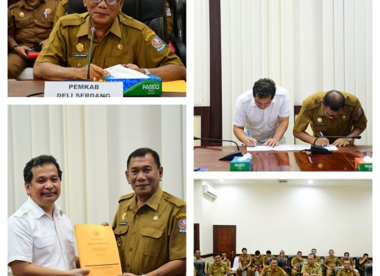 BPK Serahkan LKPD Pemkab Deli Serdang TA 2022 kepada Bupati