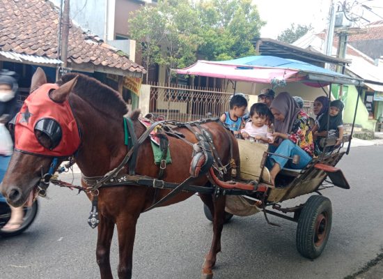 Delman di Tasikmalaya Masih di Minati Masyarakat, Walupun Banyak Persaingan