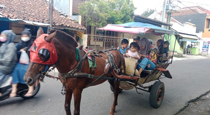 Delman di Tasikmalaya Masih di Minati Masyarakat, Walupun Banyak Persaingan