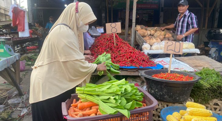 Harga Cabai Merah Turun Drastis, Petani Sumut Bisa Merugi Hingga 3.8 Triliun