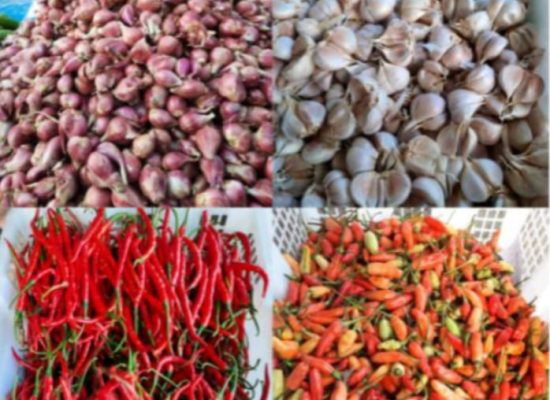 Harga Bawang Putih Meroket, Daya Beli Petani Hancur Karena Harga Cabai Masih Terbenam