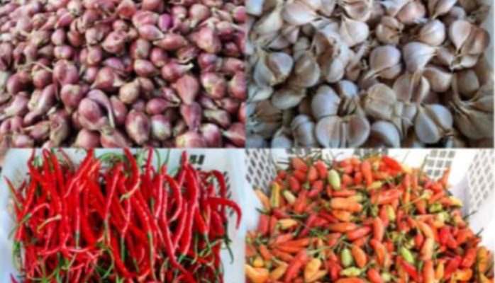 Harga Bawang Putih Meroket, Daya Beli Petani Hancur Karena Harga Cabai Masih Terbenam