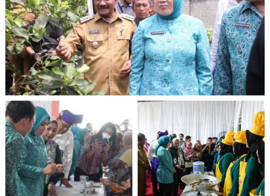 Ketua PKK Pusat, Istri dari Mendagri Tito Karnavian kunjungi Kota Binjai