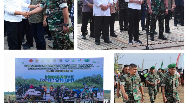 Pangdam I/BB Lapor ke Presiden Telah Tanam 157.200 Mangrove di Lahan Seluas 204.900 M Persegi di 25 Lokasi