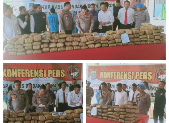 Gerebek Gudang Penyimpanan Ganja, Polresta Deli Serdang Amankan 173 Kg Ganja, 3 Tersangka Diciduk, 1 Lagi DPO