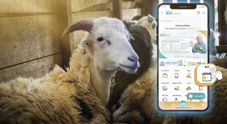 Layani Kurban Online, BSI Maslahat Siap Distribusikan Daging untuk Umat