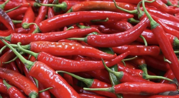 Cabai Merah di Medan Dalam Tren Naik, Bawang Putih Dan Daging Ayam Di Proyeksikan Turun