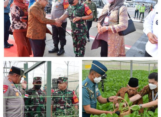 Pangdam I/BB Dampingi Wapres RI Tinjau Batamindo Green Farm dan Pengukuhan KDEKS