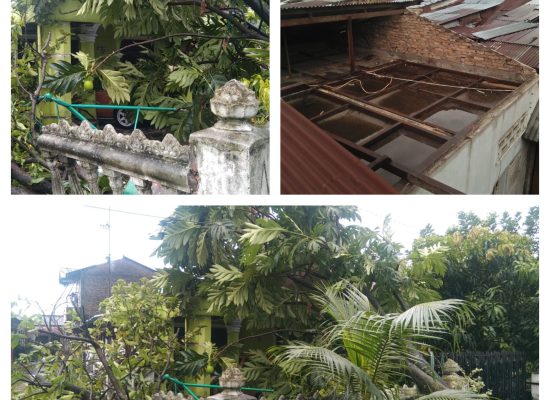 Akibat Hujan Disertai Angin Puting Beliung Satu Rumah Warga Tertimpa Pohon di Medan