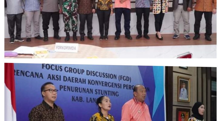 Pemkab Langkat hadirkan 3 profesor bahas Stunting.