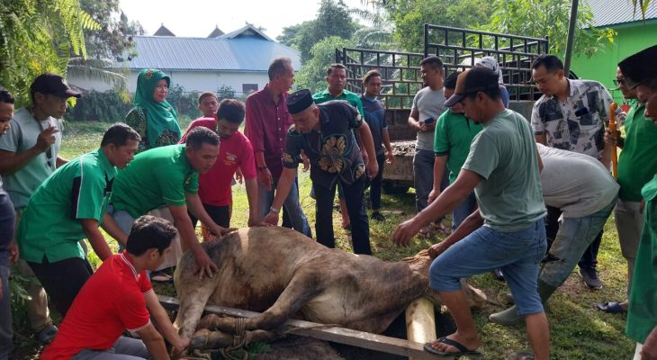 PPP Deli Serdang Sembelih 3 Hewan Kurban