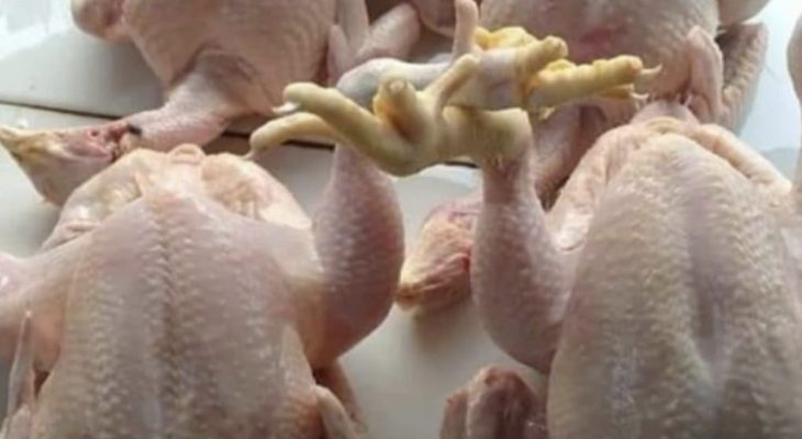 Harga Daging Ayam Anjlok Saat Harga Pakan Mahal, Kok Bisa?