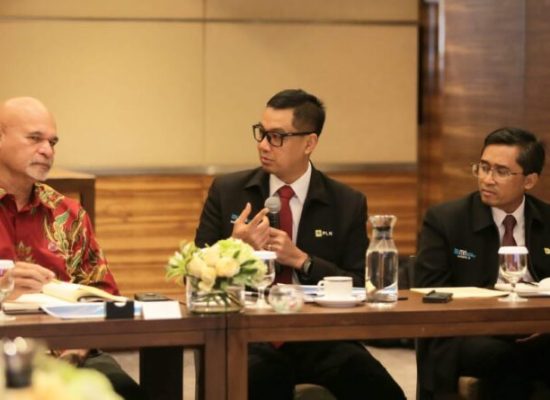 PLN Siap Pasok Listrik di Perbatasan Papua Nugini