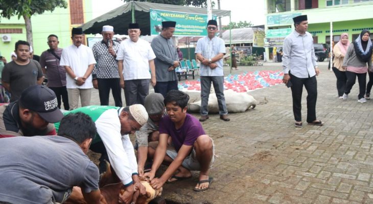 Dapat Meningkatkan Konsumsi Daging Masyarakat, Pemprov Sumut Telah Sebar 250 Ekor Hewan Kurban ke Seluruh Pelosok Sumut