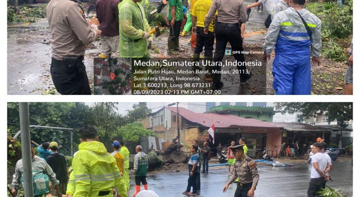 Akibat Hujan Lebat, Polisi Samapta Polrestabes Medan Dan Masyarakat Bersinergi Singkirkan Pohon Tumbang