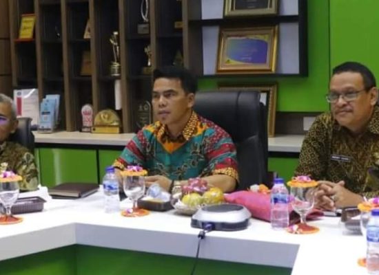 Pemerintah Kota Binjai Ambil bagian dalam Goesmart dan RKCI-RKTDI 2023