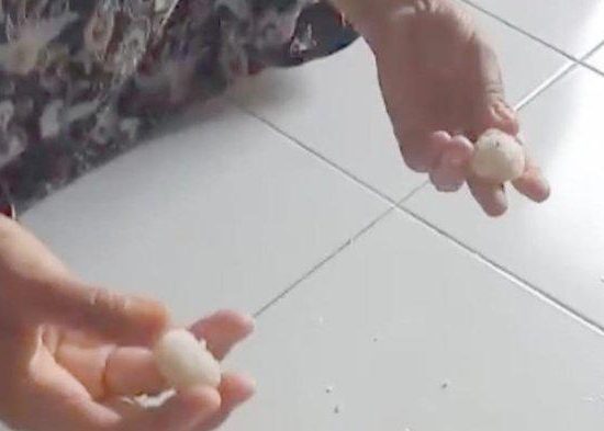 Viral video seorang Ibu Curiga Beras Bulog dari Pasar Murah Mengandung Plastik, Pemko & Polres Binjai Angkat Bicara