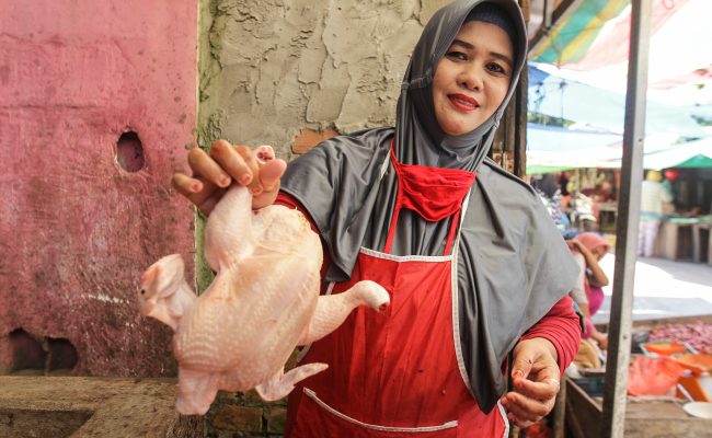 Dibayangi Kenaikan Harga Pakan, Harga Daging Ayam Di Kota Medan Naik Lagi