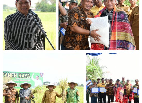Panen Raya Desa Wonosari Deli Serdang Penopang Kebutuhan Pangan Nasional