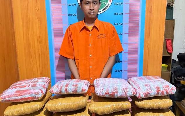 Petugas Gabungan Ringkus Kurir 16 Kg Ganja di Mandailing Natal
