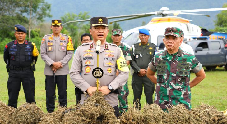 Naik Heli dari Medan, Pangdam I/BB dan Kapoldasu Musnahkan Ladang Ganja 150 Ha di Madina