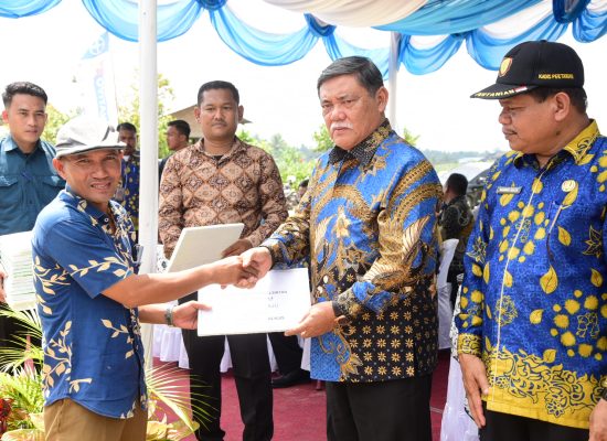 Deli Serdang Lumbung Pangan Sumatera Utara