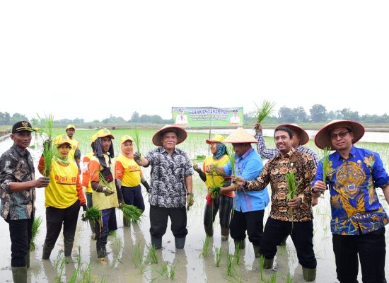 Pertanian Berkontribusi Besar pada Pertumbuhan Perekonomian Daerah