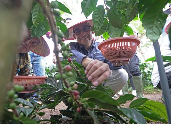 Untuk Mengembangkan Potensi Kopi Sumatera Utara, BI Inisiasi Klaster Kopi Gapoktan Berkarya di Dairi
