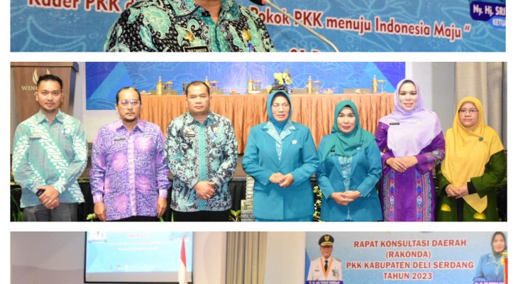 Rakonda PKK Deli Serdang, Pemantapan Program Kerja