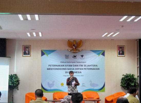 Dorong Kesejahteraan Ayam dan Itik Petelur: Animal Friends Jogja Menginisiasi Diskusi Terpumpun dengan Pemerintah Pusat dan Daerah