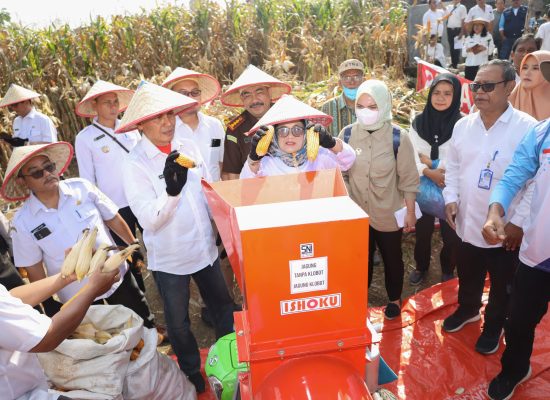 Panen Jagung Bersama di Sumber Jaya, Ibu Petani Minta dr Susanti Tandatangani Topi Caping