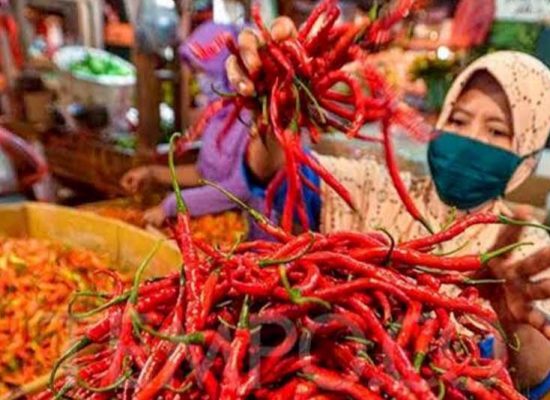Harga Cabai Kembali Turun di Akhir Pekan, Cuaca Buruk Tidak Mampu Tahan Penurunan