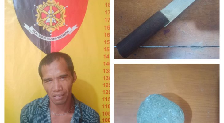 Viral Lempari Toko HP, Pria Pengangguran di Deli Serdang Diciduk Polisi