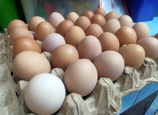 Harga Telur Ayam Naik Meskipun Tidak Serentak, Diproyeksikan Akan Turun Karena Ini