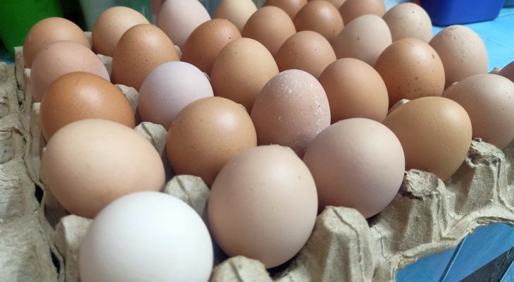 Harga Telur Ayam Naik Meskipun Tidak Serentak, Diproyeksikan Akan Turun Karena Ini