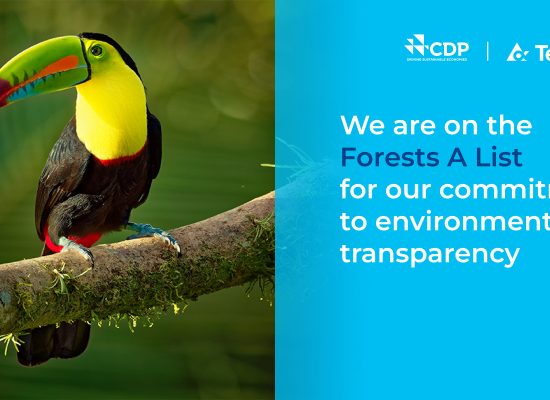 Tetra Pak Mendapat Penilaian ‘A’ dan masuk dalam Jajaran Pemimpin CDP atas Keterbukaan Informasi tentang Hutan untuk 8 Tahun Berturut-turut