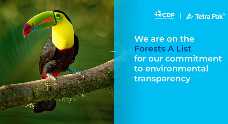 Tetra Pak Mendapat Penilaian ‘A’ dan masuk dalam Jajaran Pemimpin CDP atas Keterbukaan Informasi tentang Hutan untuk 8 Tahun Berturut-turut