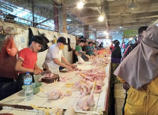 Harga Daging Ayam Mahal, Kalau Naik Lagi Pedagang Dan Peternak Bisa Buntung