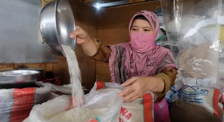 Harga Gabah Mulai Turun, Harga Beras Kapan Turun?