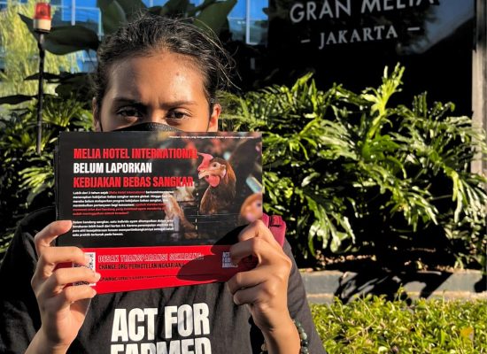 Aktivis Perlindungan Hewan dari AFJ dan AFFA Ajak Masyarakat Desak Meliá Hotel Penuhi Janji Cage-Free Mereka